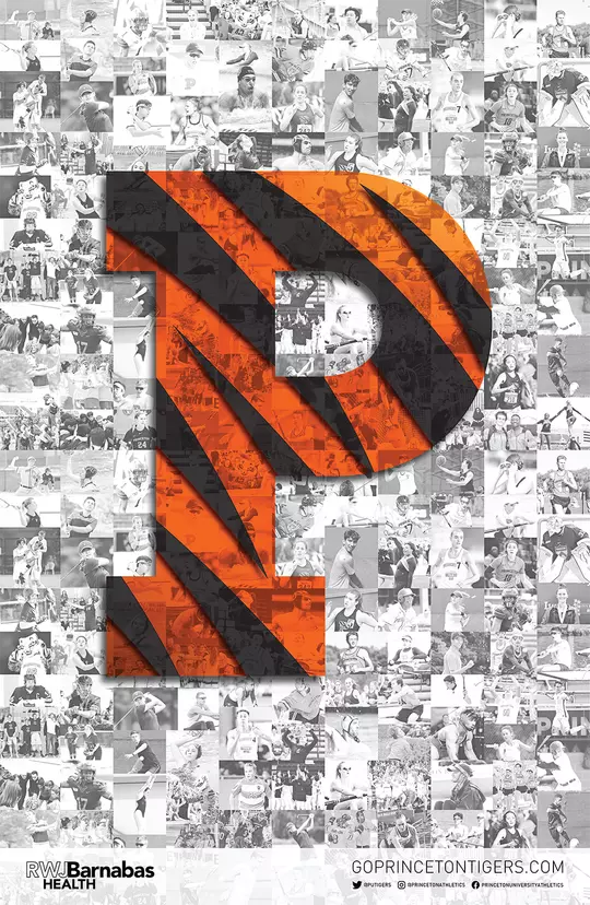 P logo photo background