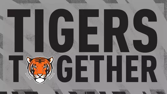 Tigers Together logo with striped background
