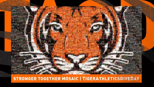 TAGD Mosaic