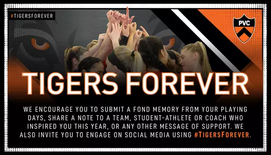 Tigers Forever