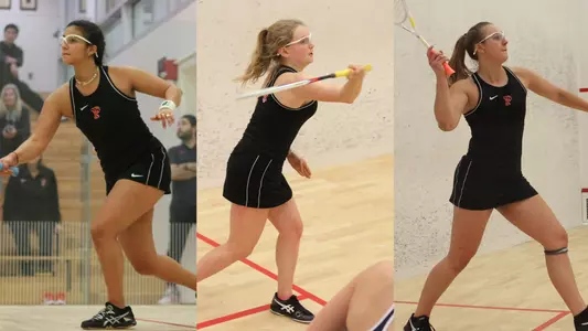 El Torky-Ruggiero-Spahr