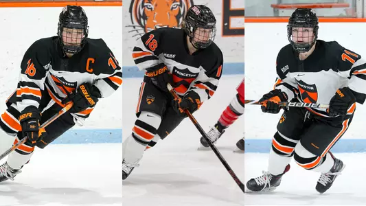 2020-21 WIH Captains