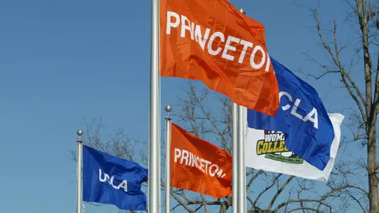 princeton-ucla flags