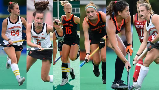 All-ivy 21