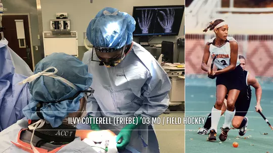 Tiger Heroes Ilvy Cotterell (Friebe)