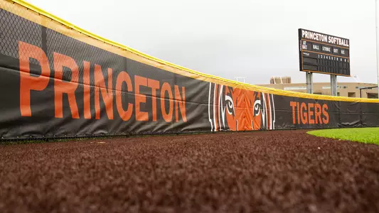 Softball fence with windscreen