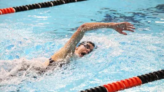 Princeton University men's and women's swimming and diving vs. Cornell and Penn, Princeton, NJ, November 23, 2019