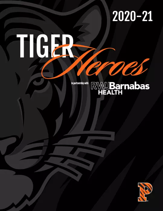 Tiger Heroes Digital Book Cover