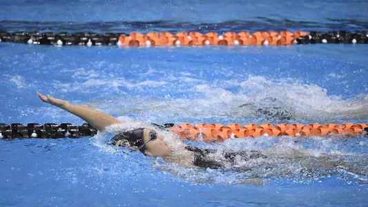 WSwim