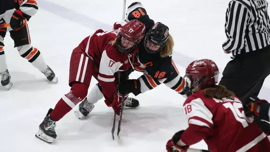 princeton women's hockey action photo vs. colgate