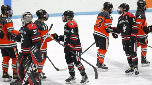 princeton northeastern handshake line