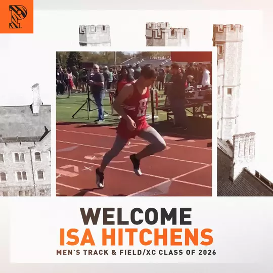 Isa Hitchens