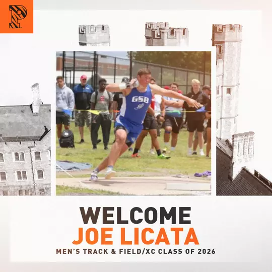 Joe Licata