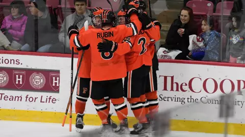 Men's hockey Celebration 2023 at Harvard playoffs
