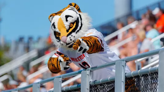Tiger mascot pointing