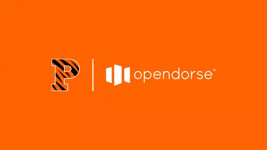 Princeton Opendorse Header