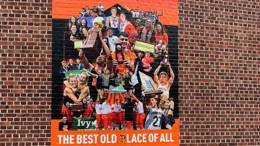 Mural