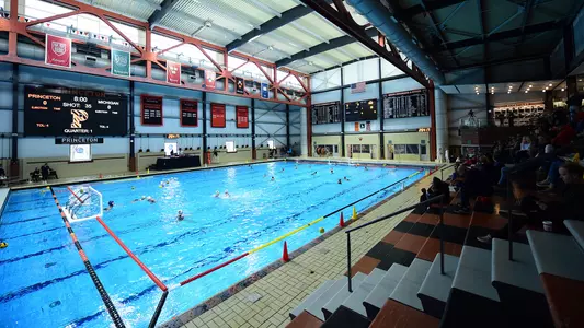 denunzio water polo wide shot