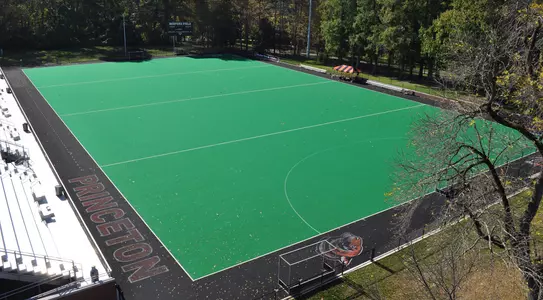 Bedford field aerial photo