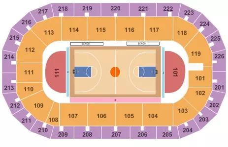 Cure Arena