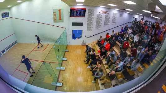 msquash