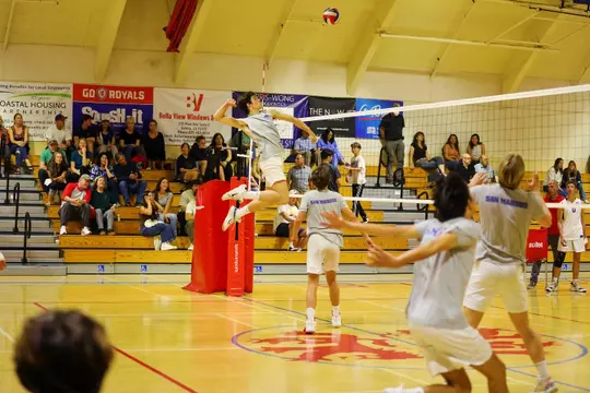 Mason Rice Action 2024