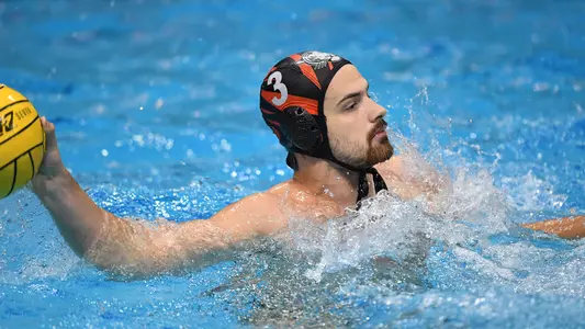 Vladan Mitrovic