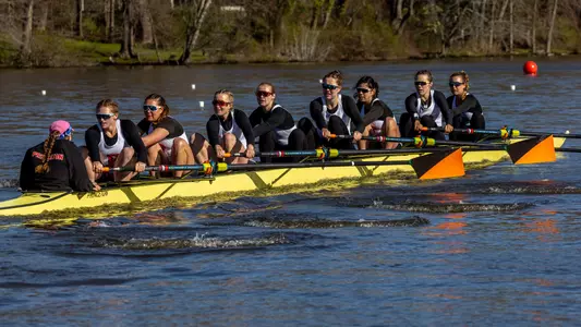 1V - WOR - Brown