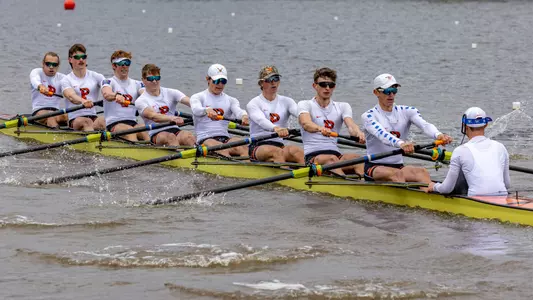 1V - MLW
