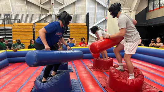 Jousting