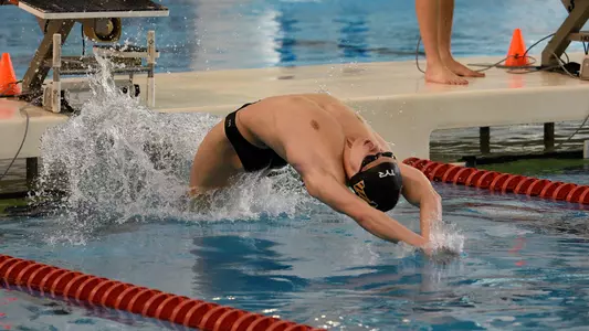 Brett Feyerick Men's Swim & Dive