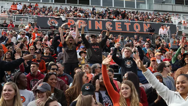 Tigers Are Back This Fall