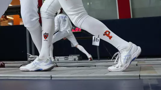 fencing logos on socks