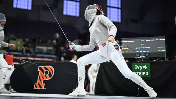 fencing action