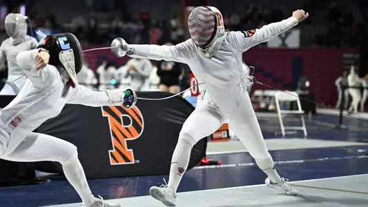 generic fencing action