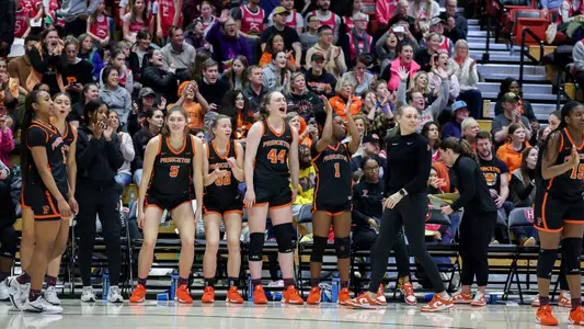 Princeton WBB Bench
