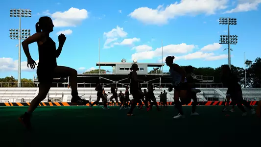 Wednesday TigerBlog - A Place To Call Home Image