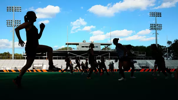 Wednesday TigerBlog - A Place To Call Home