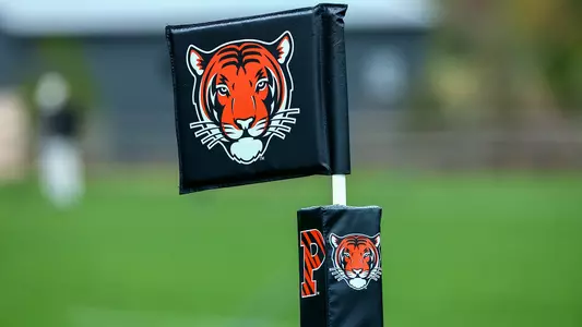Rugby Flags