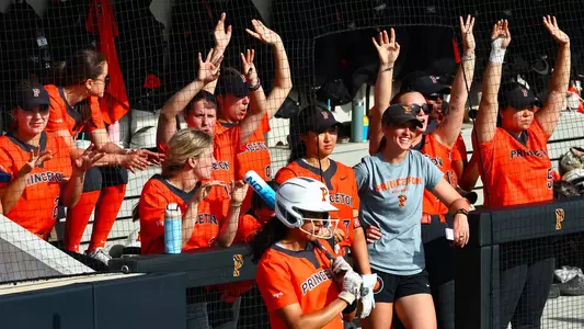 softball dugout cheering photo