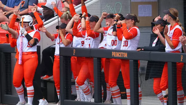 softball dugout cheering photo