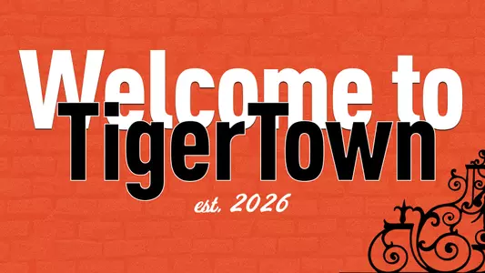 TigerTown graphic