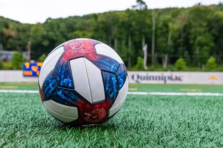 Soccer ball on field