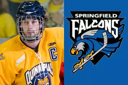 Jamie Bates Signs With Springfield Falcons Of The American Hockey League Image