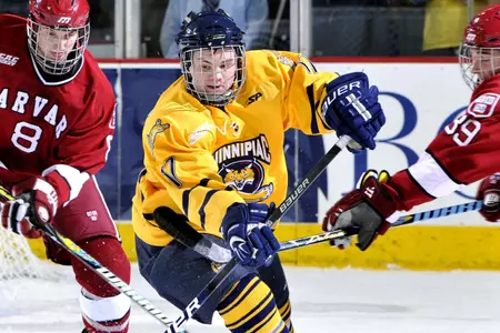 Men's Ice Hockey Blanked By #5 Cornell, 2-0 Image