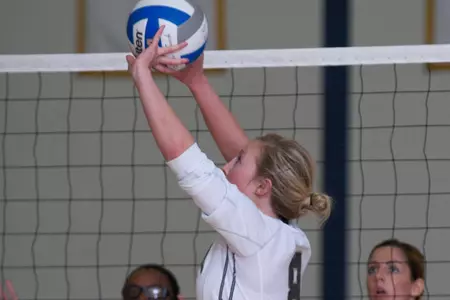 Volleyball Falls To Fordham, Boston College Image