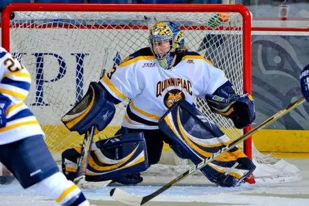 No.10 Women's Ice Hockey Falls To Wayne State, 2-1 Image