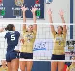 Long Island Defeats Women's Volleyball, 3-0, In NEC Clash Image