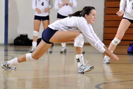 Volleyball Falls To Loyola Marymount, Cal St. Fullerton Image