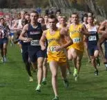 Men's Cross Country Finishes a Mere Seven Points Out of First, Takes 3rd at NEC Championship Image